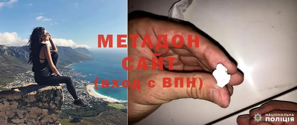 сатива Каменка