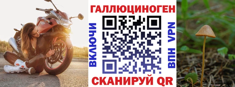 Галлюциногенные грибы MAGIC MUSHROOMS  Купить закладки  Баймак 